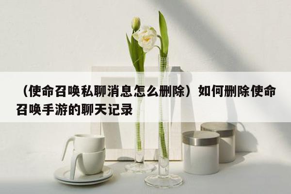 （使命召唤私聊消息怎么删除）如何删除使命召唤手游的聊天记录