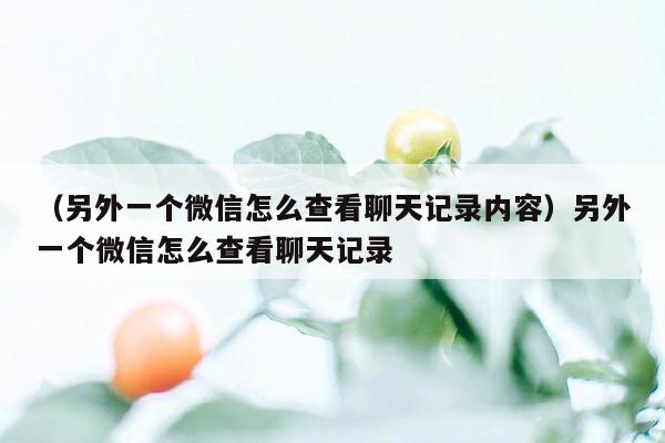 （另外一个微信怎么查看聊天记录内容）另外一个微信怎么查看聊天记录