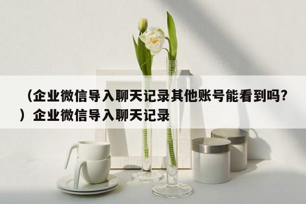 （企业微信导入聊天记录其他账号能看到吗?）企业微信导入聊天记录