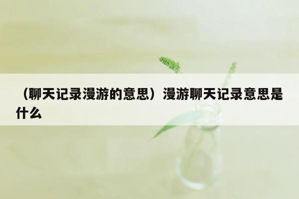 （聊天记录漫游的意思）漫游聊天记录意思是什么