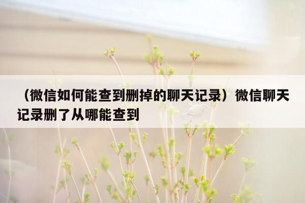 （微信如何能查到删掉的聊天记录）微信聊天记录删了从哪能查到