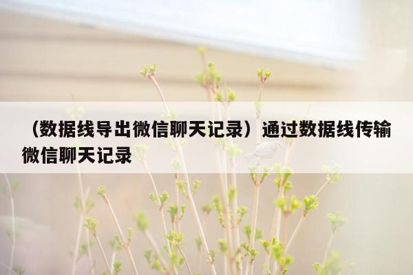 （数据线导出微信聊天记录）通过数据线传输微信聊天记录