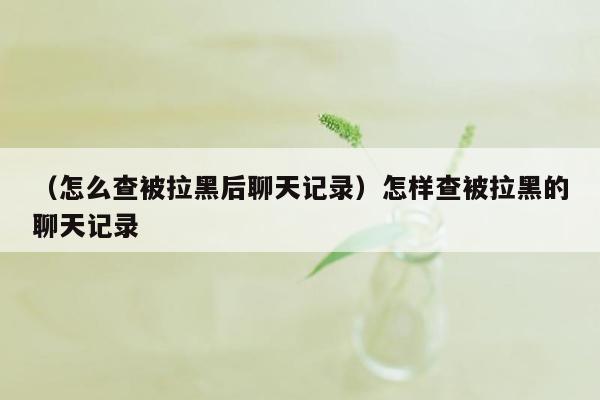 （怎么查被拉黑后聊天记录）怎样查被拉黑的聊天记录