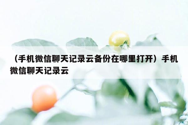 （手机微信聊天记录云备份在哪里打开）手机微信聊天记录云