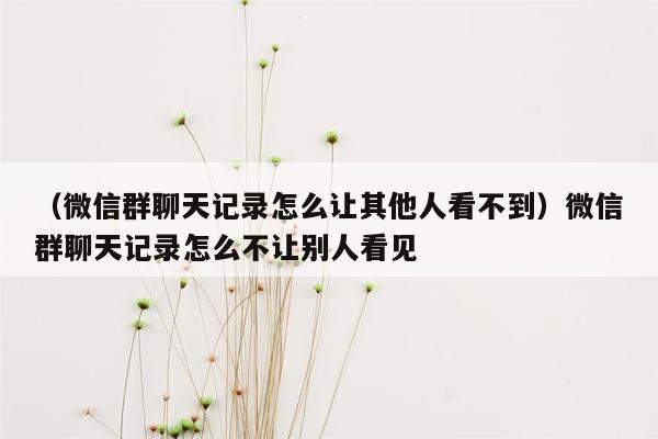 （微信群聊天记录怎么让其他人看不到）微信群聊天记录怎么不让别人看见