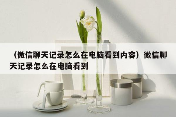 （微信聊天记录怎么在电脑看到内容）微信聊天记录怎么在电脑看到