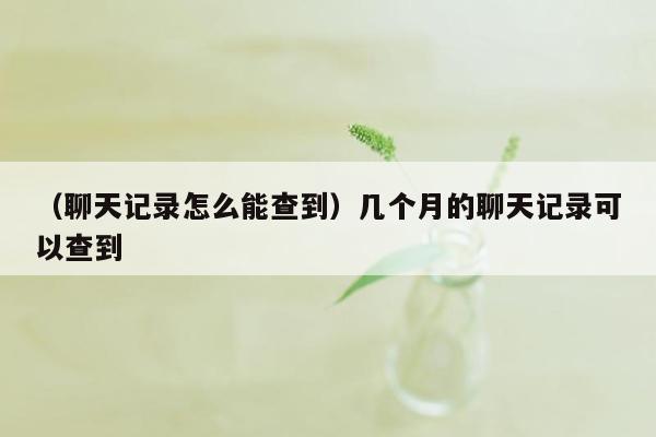 （聊天记录怎么能查到）几个月的聊天记录可以查到