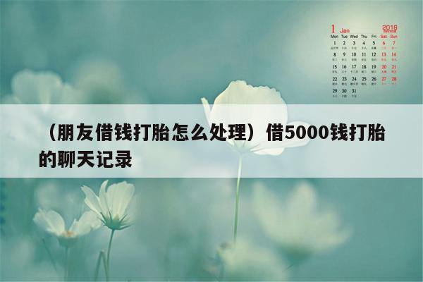 （朋友借钱打胎怎么处理）借5000钱打胎的聊天记录