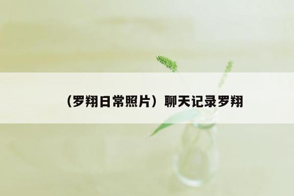 （罗翔日常照片）聊天记录罗翔