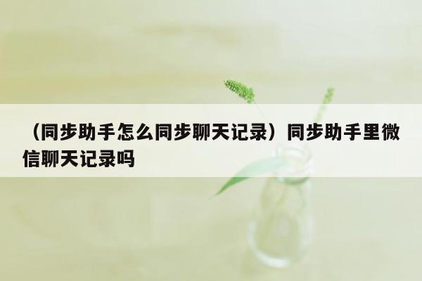 （同步助手怎么同步聊天记录）同步助手里微信聊天记录吗