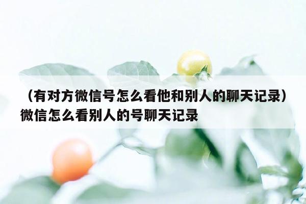 （有对方微信号怎么看他和别人的聊天记录）微信怎么看别人的号聊天记录