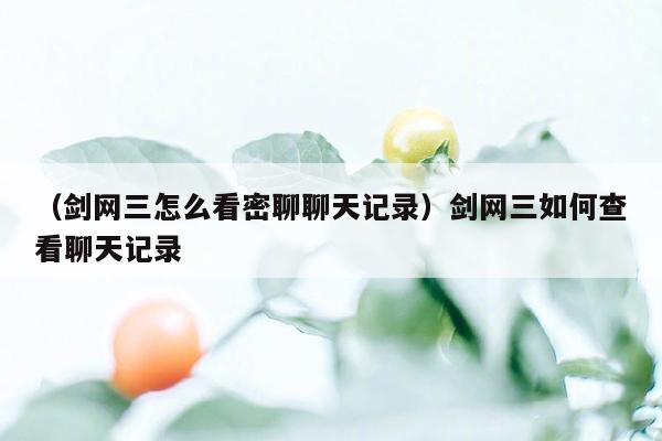 （剑网三怎么看密聊聊天记录）剑网三如何查看聊天记录