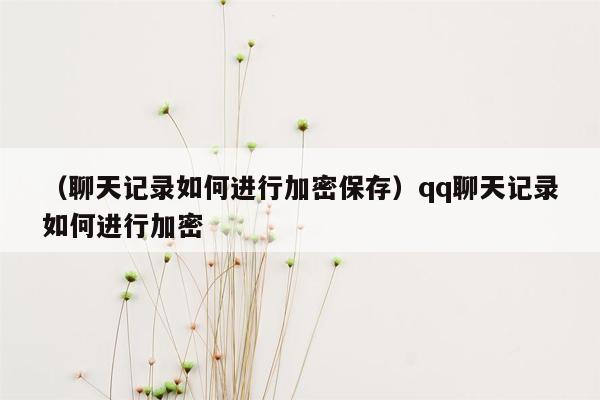 （聊天记录如何进行加密保存）qq聊天记录如何进行加密