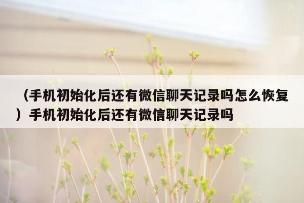 （手机初始化后还有微信聊天记录吗怎么恢复）手机初始化后还有微信聊天记录吗