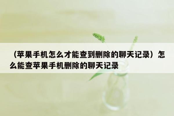 （苹果手机怎么才能查到删除的聊天记录）怎么能查苹果手机删除的聊天记录