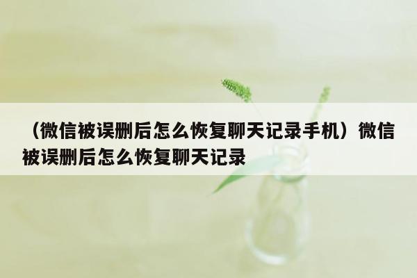 （微信被误删后怎么恢复聊天记录手机）微信被误删后怎么恢复聊天记录