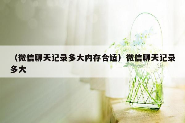 （微信聊天记录多大内存合适）微信聊天记录多大