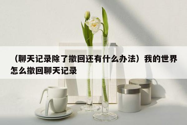 （聊天记录除了撤回还有什么办法）我的世界怎么撤回聊天记录