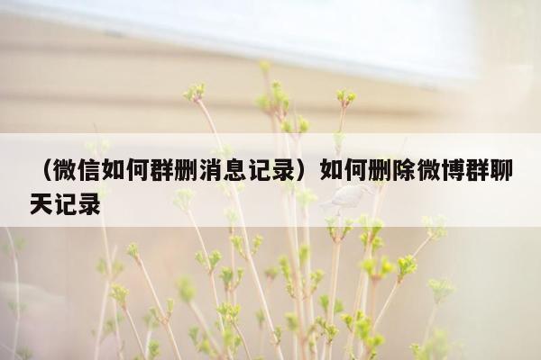 （微信如何群删消息记录）如何删除微博群聊天记录