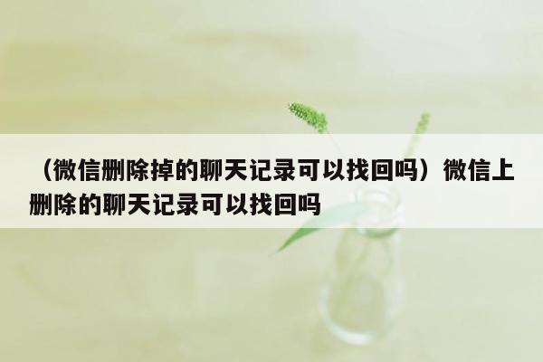 （微信删除掉的聊天记录可以找回吗）微信上删除的聊天记录可以找回吗