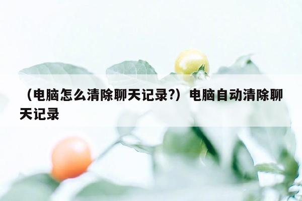 （电脑怎么清除聊天记录?）电脑自动清除聊天记录