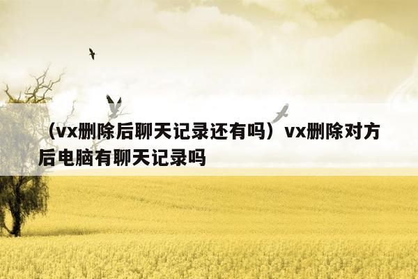 （vx删除后聊天记录还有吗）vx删除对方后电脑有聊天记录吗