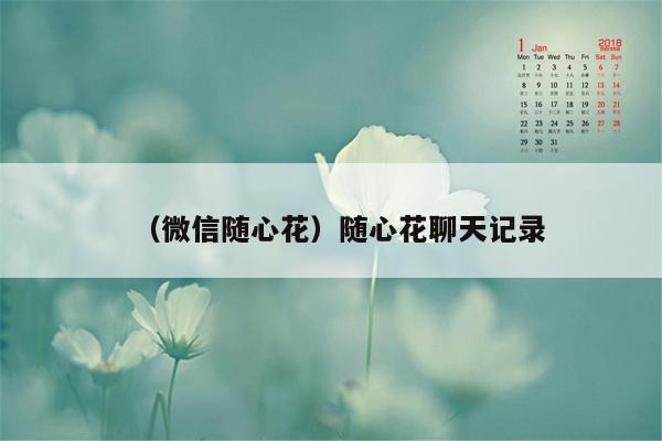 （微信随心花）随心花聊天记录