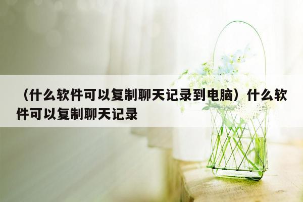 （什么软件可以复制聊天记录到电脑）什么软件可以复制聊天记录