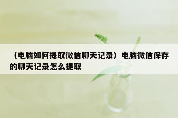 （电脑如何提取微信聊天记录）电脑微信保存的聊天记录怎么提取