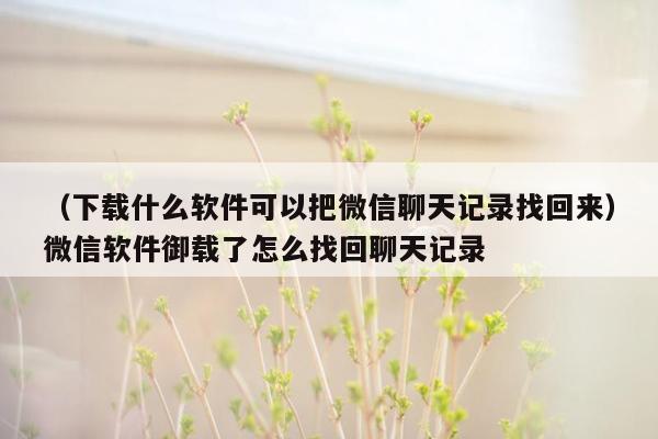 （下载什么软件可以把微信聊天记录找回来）微信软件御载了怎么找回聊天记录