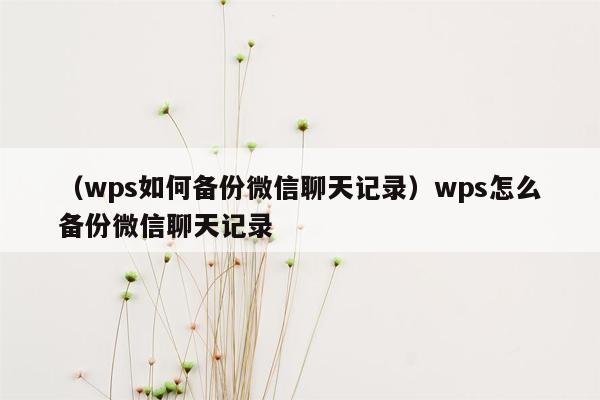 （wps如何备份微信聊天记录）wps怎么备份微信聊天记录