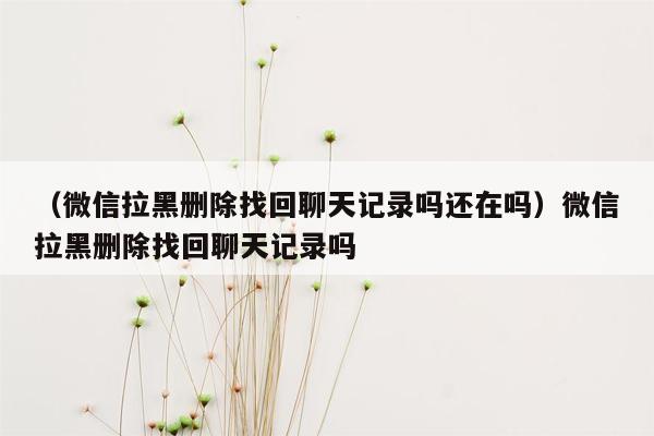 （微信拉黑删除找回聊天记录吗还在吗）微信拉黑删除找回聊天记录吗