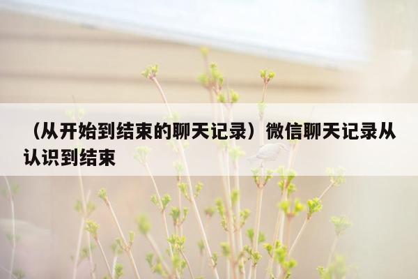 （从开始到结束的聊天记录）微信聊天记录从认识到结束