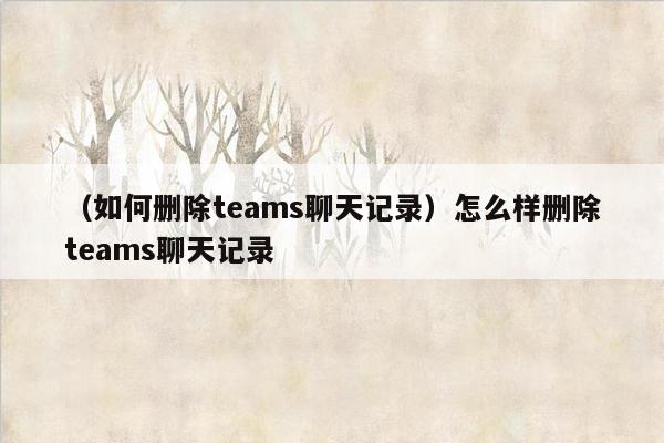 （如何删除teams聊天记录）怎么样删除teams聊天记录