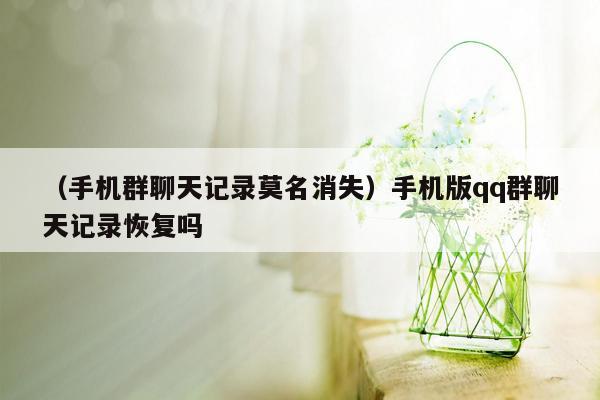 （手机群聊天记录莫名消失）手机版qq群聊天记录恢复吗