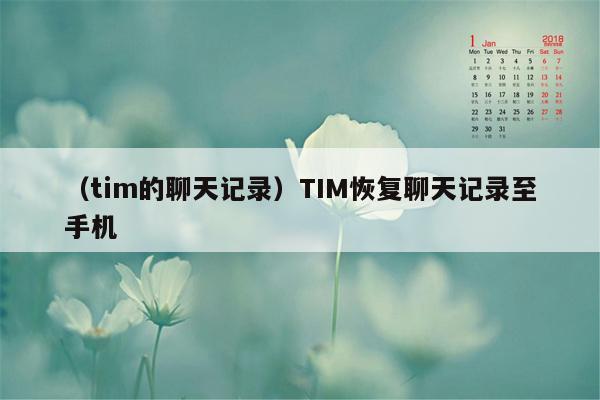 （tim的聊天记录）TIM恢复聊天记录至手机