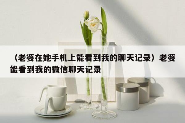 （老婆在她手机上能看到我的聊天记录）老婆能看到我的微信聊天记录