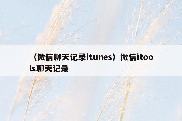 （微信聊天记录itunes）微信itools聊天记录