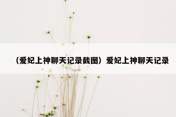 （爱妃上神聊天记录截图）爱妃上神聊天记录