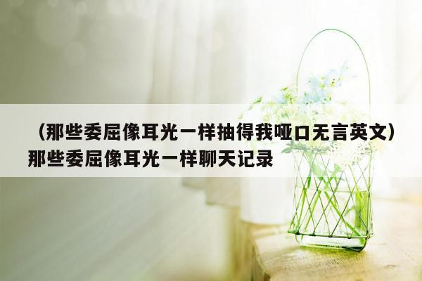 （那些委屈像耳光一样抽得我哑口无言英文）那些委屈像耳光一样聊天记录