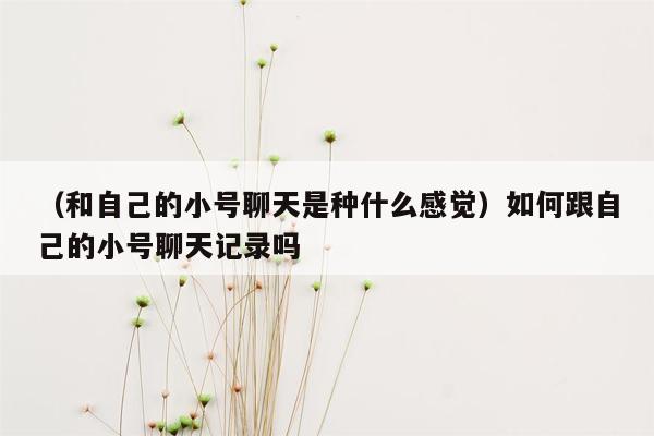 （和自己的小号聊天是种什么感觉）如何跟自己的小号聊天记录吗