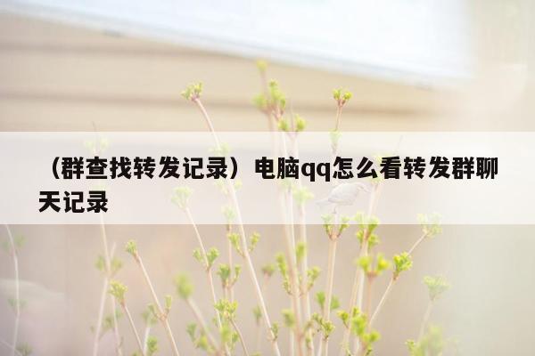 （群查找转发记录）电脑qq怎么看转发群聊天记录