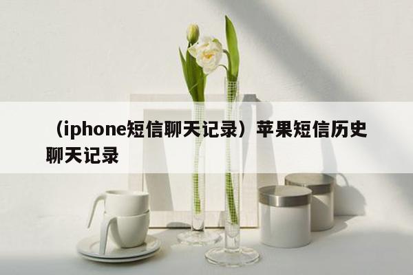 （iphone短信聊天记录）苹果短信历史聊天记录