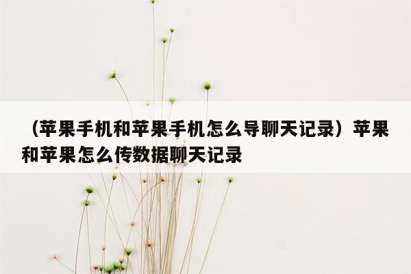 （苹果手机和苹果手机怎么导聊天记录）苹果和苹果怎么传数据聊天记录