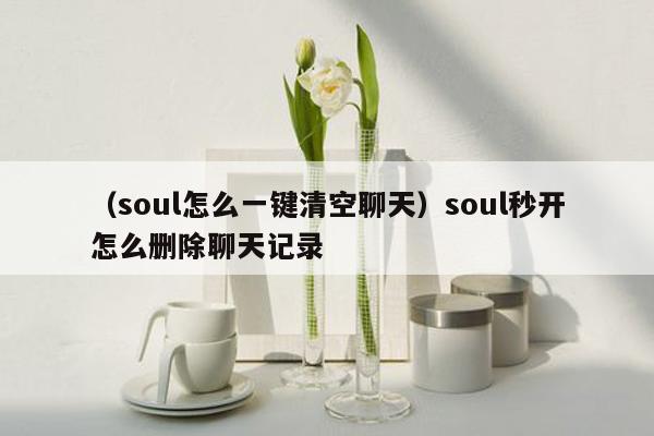 （soul怎么一键清空聊天）soul秒开怎么删除聊天记录