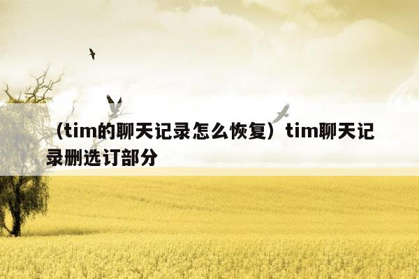 （tim的聊天记录怎么恢复）tim聊天记录删选订部分