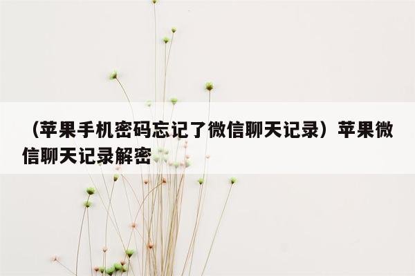 （苹果手机密码忘记了微信聊天记录）苹果微信聊天记录解密