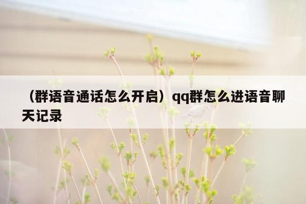 （群语音通话怎么开启）qq群怎么进语音聊天记录