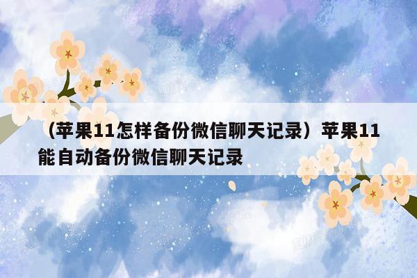 （苹果11怎样备份微信聊天记录）苹果11能自动备份微信聊天记录