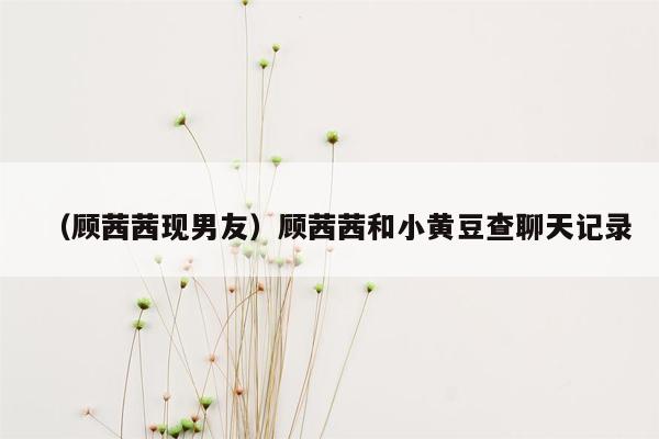 （顾茜茜现男友）顾茜茜和小黄豆查聊天记录